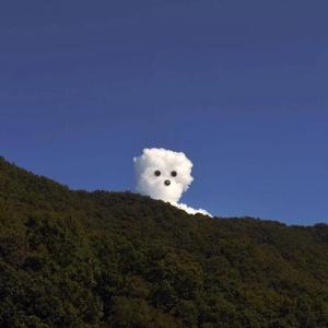 久久久久亚洲精品中文字幕
