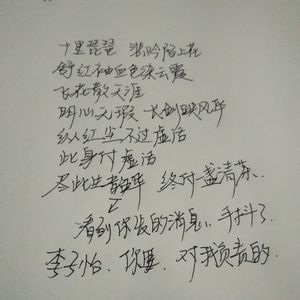 久久久久亚洲精品中文字幕
